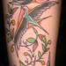 tattoo galleries/ - Swallows - 59284